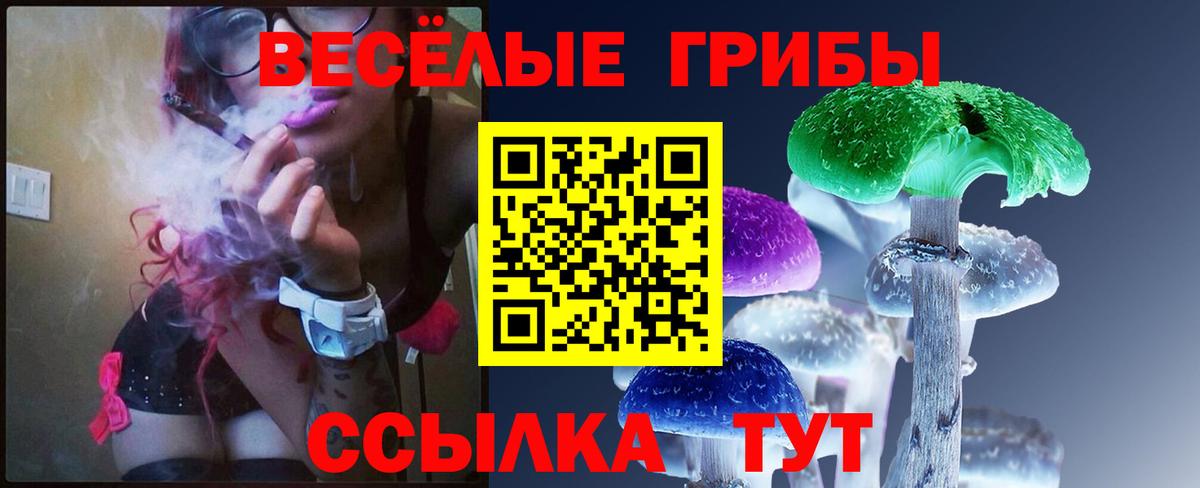 Галлюциногенные грибы прущие грибы  Вход с VPN  Нарткала 